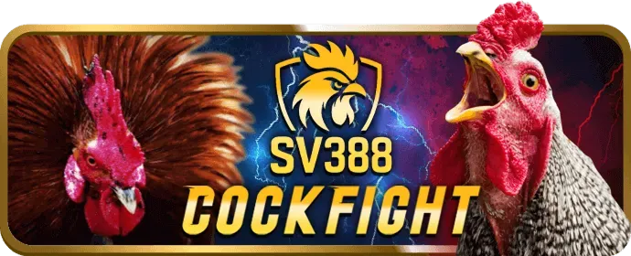 Hướng dẫn chi tiết trang chủ chính thức Kubet88 cho người mới